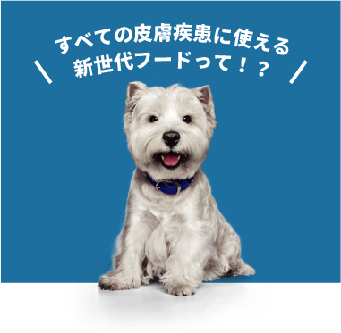 すべての皮膚疾患に使える新世代フードって！？