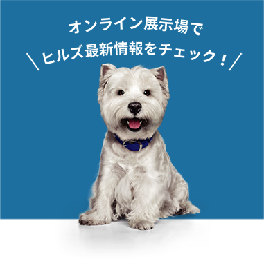 オンライン展示場でヒルズ最新情報をチェック！