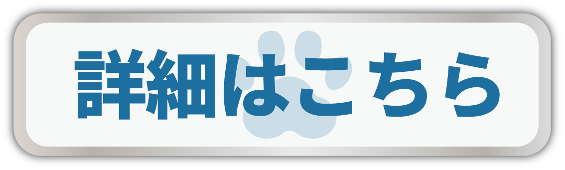 詳細はこちら